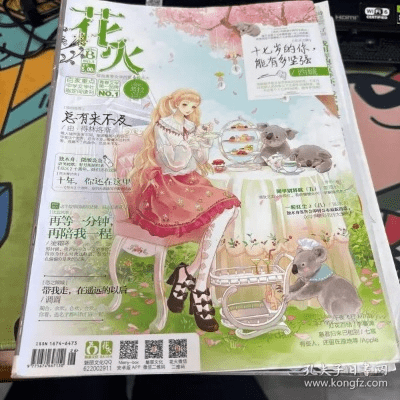 小花火官方下载,精细化解读说明 V版_v2.935