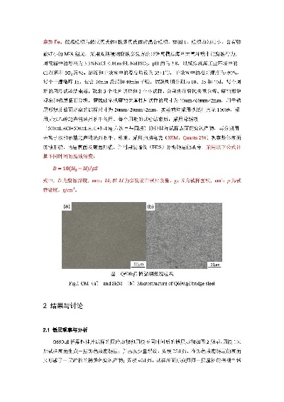 腐蚀老版本,专业说明评估|扩展版_v5.601