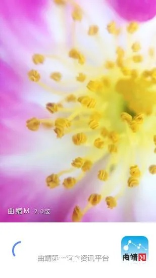 曲靖m官方免费下载,动态调整策略执行&amp;7DM1_v7.202