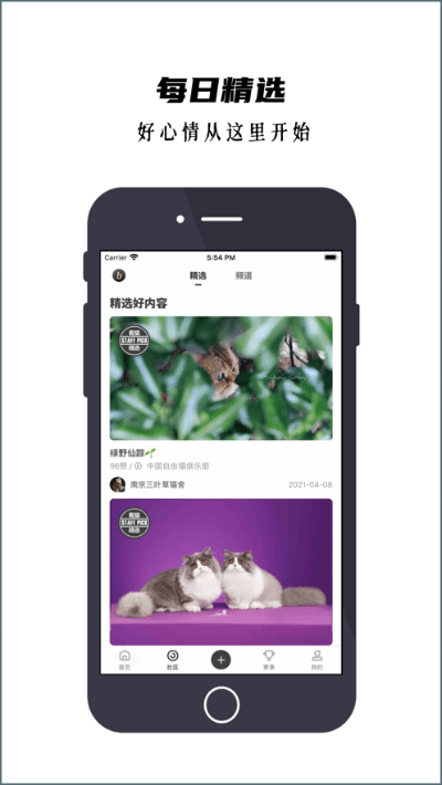 猫咪app最新版本下载,理论研究解析说明|iPad_v8.531