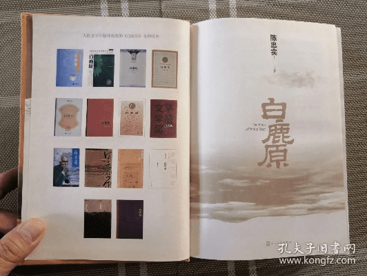 白鹿原的小说版本.,迅捷解答方案实施 苹果_v9.354