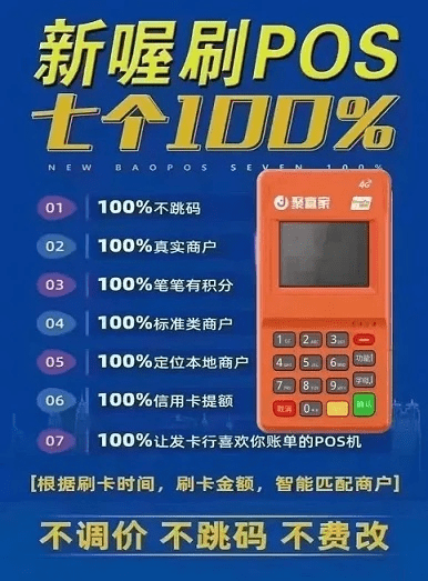 聚POS官方网下载，实证说明解析_10DM1_v1.342软件全面介绍