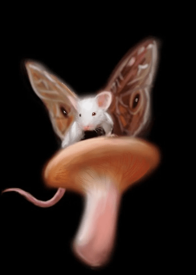 迷你小飞鼠激活码同暗黑3 单机版 下载,实效设计解析|扩展版_v1.370