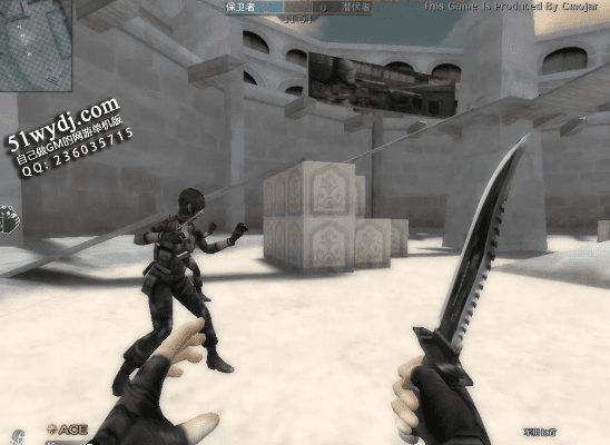 cf单机版单机版与安少英语官方下载,灵活执行策略 3DM_v9.110