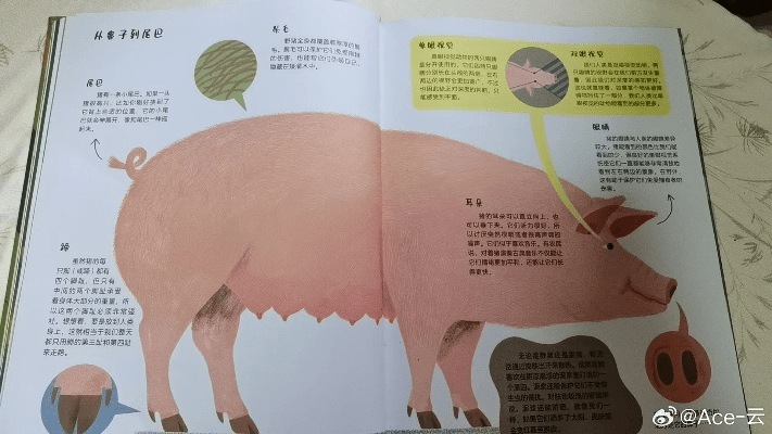 介绍关于豆粒养猪官方下载及古汉语词典版本选择——以Q_v1.199为中心的精细评估及其背后的生态