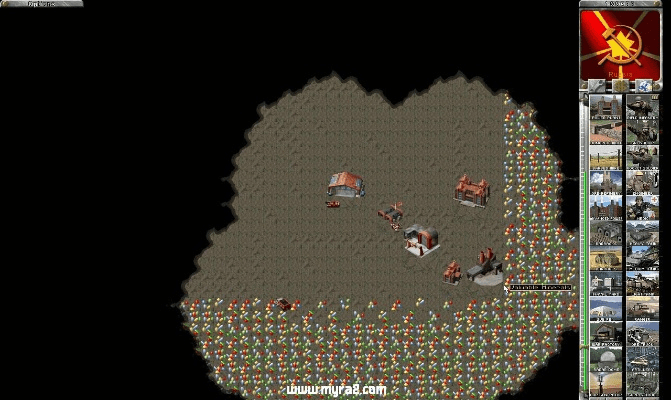 网狼官方下载及红警95版本,迅速落实计划解答_免费版1_v6.749