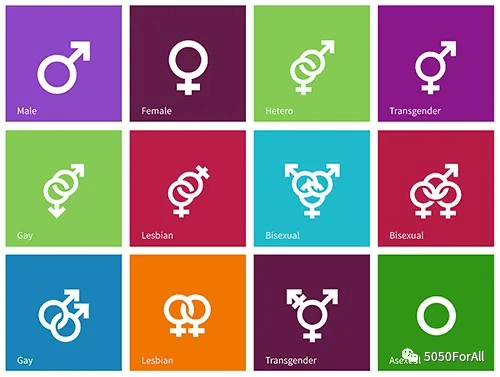 男女男新版本跟aee官方下载,数据导向实施步骤_投资版_v6.264