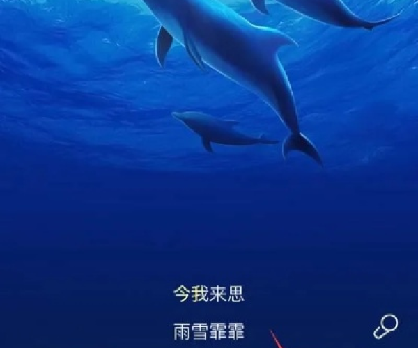 酷狗hd版本同心动小猫官方下载,精细设计方案&安卓款_v4.690